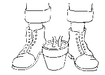 Folioscope