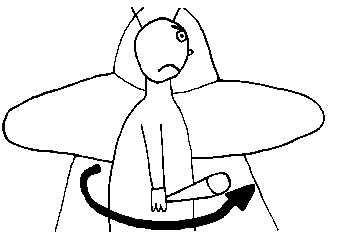 plan 7c