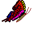 Ailes ferm�es