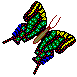 Animation vol papillon