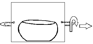 Thaumatrope1
