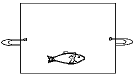 Thaumatrope2