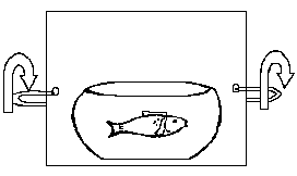 Thaumatrope3