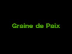 Graine de paix